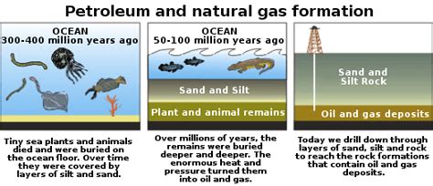 Arriba 48+ imagen formation fossil fuels - Abzlocal.mx