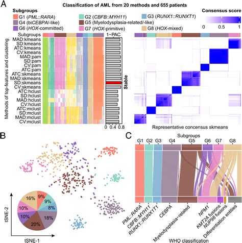 Transcriptome-based molecular subtypes and differentiation hierarchies ...