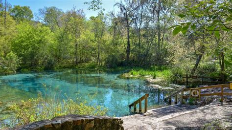 15 Best Florida Springs With Camping You Should Visit - Florida Trippers