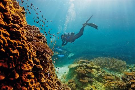 Guide to the Great Barrier Reef - Tourism Australia