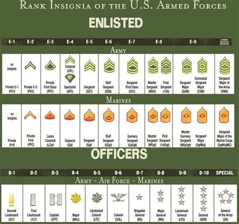 Understanding US Military Ranks - Military Connection