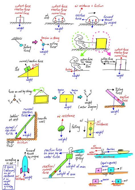 Free-body Diagram | Body diagram, Ap physics, Physics notes