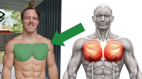 The Perfect Chest Workout in Only 20 Minutes (for Muscle and Mass) | BOXROX