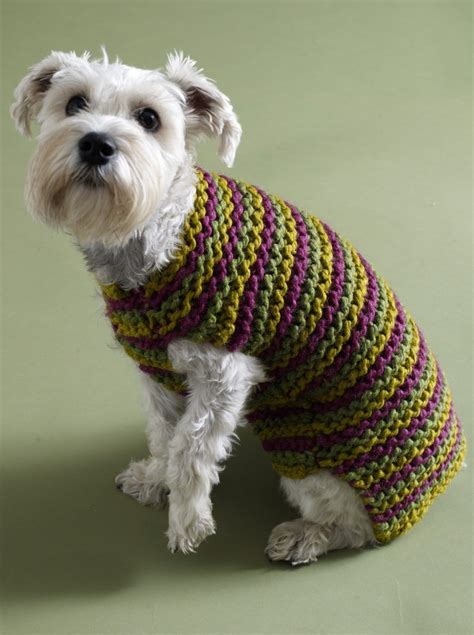 dog sweater crochet pattern easy - Crochet and Knit | Knitting patterns ...