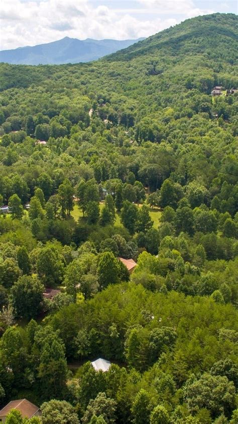 Blue Ridge, GA Cabins For Sale | Above Georgia