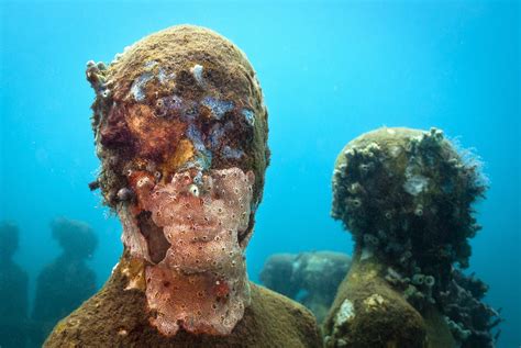 Gallery: The sculpture garden at the bottom of the sea