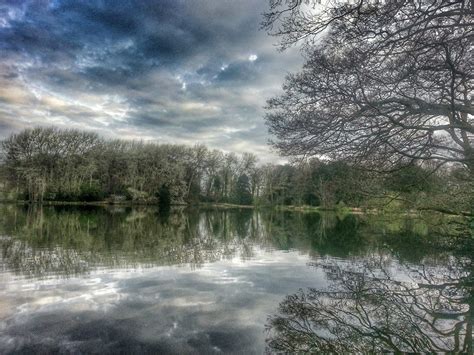 Allestree Park Lake (Derby, Derbyshire) Fishing Lakes - Day Ticket Lakes