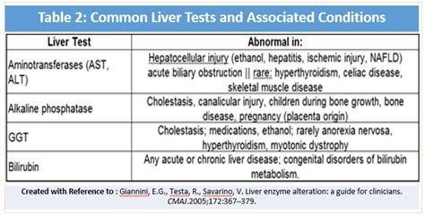 High Ast And Alt / Elevated Liver Enzymes: Causes and Symptoms | IYTmed ...