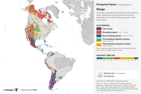 Making Sense of the Peregrine Falcon’s Variable Migration Patterns ...