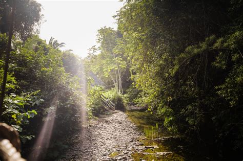 Review: Sleeping Giant Rainforest Lodge, Belize - Luxuriate Life Magazine