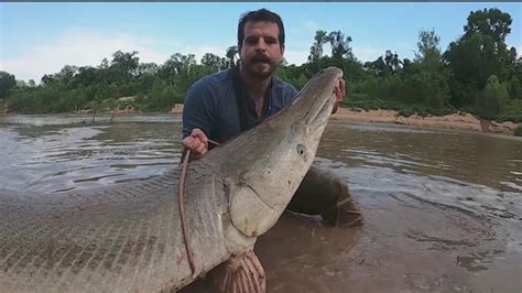 Massive fish caught in Houston, Texas, bayou | khou.com