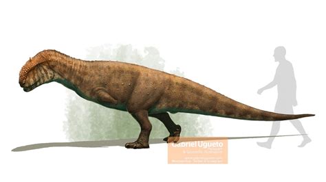 Majungasaurus | Fossil Wiki | Fandom