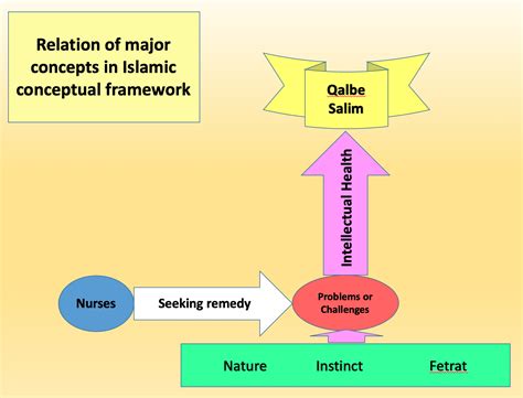 Conceptual framework of nursing based on Islamic documents | Nursology