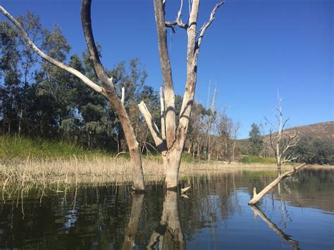 Dunc's Fishing Adventures: New Area at Lower Otay Lake