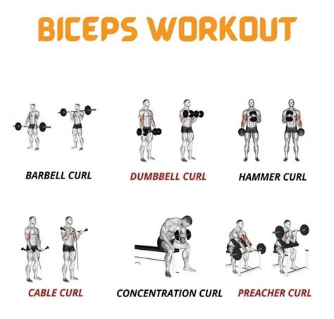 Biceps Workout At Gym | Biceps workout, Bicep and tricep workout ...