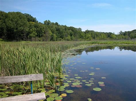 Pokagon State Park (Angola, IN) - Review - Tripadvisor