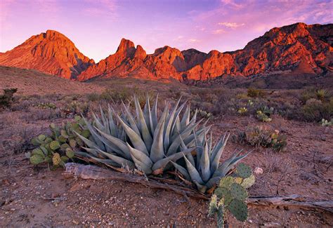 Texas Summer. Fine Art Photograph by Peter Lik.