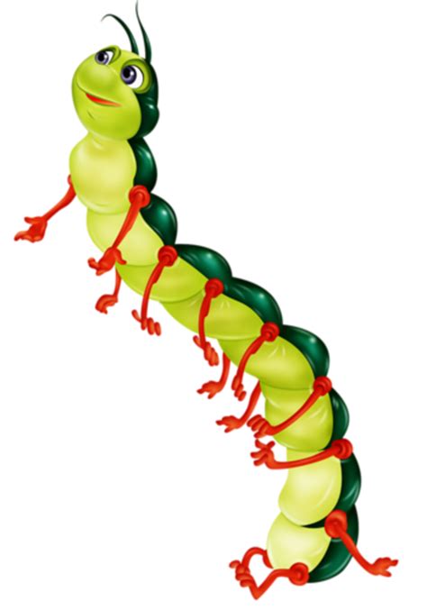 Inchworm clipart centipede, Inchworm centipede Transparent FREE for ...