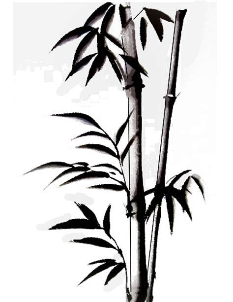 Bamboo | Bamboo tattoo, Bamboo drawing, Bamboo art painting