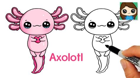 How to Draw an Axolotl Salamander Easy Cute