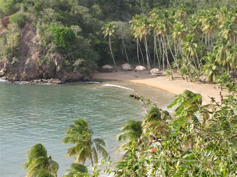 Playa Medina, Venezuela | Most beautiful beaches, Beaches in the world ...