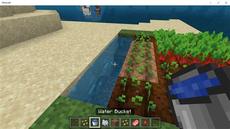 How to Plant Seeds in Minecraft