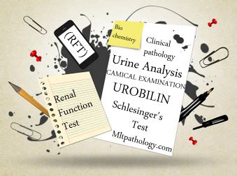 TEST FOR UROBILIN IN URINE