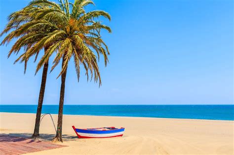 Fishing boat and palm trees on sandy beach - online puzzle