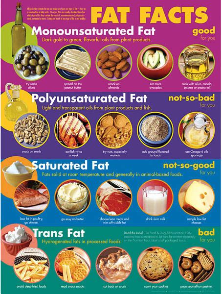 Hispanic Community Health Study / Study of Latinos: The Healthy Fats ...