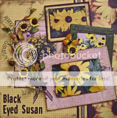 Wild Edible and Medicinal Plants: "Black Eyed Susan"