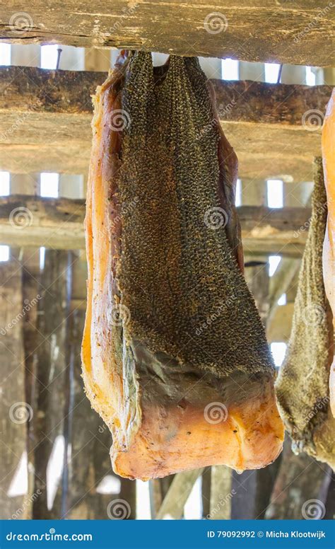 Iceland s fermented shark stock photo. Image of sharkmeat - 79092992