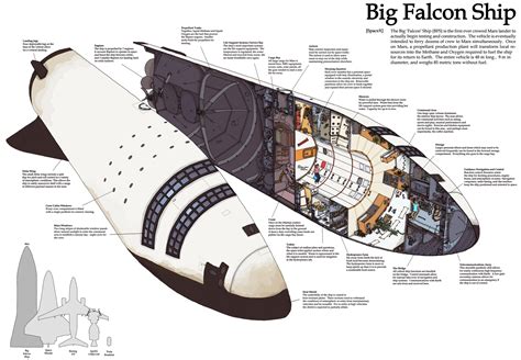 This imaginative drawing liked by Elon Musk reveals just how crazy ...