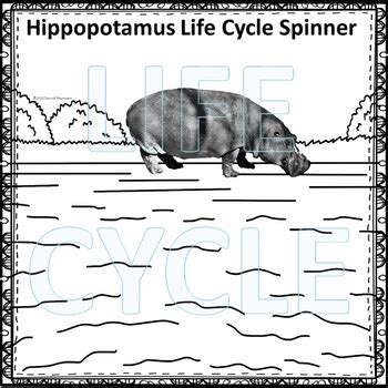 Hippopotamus (Life Cycle Spinner) by Donna Thompson | TpT