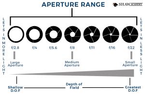 Lens Buying Guide: 4 Tips to Choose Your Lens