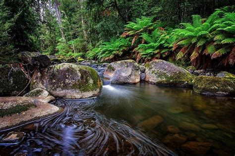 Barrington Tops National Park - All You Need to Know BEFORE You Go (2024)