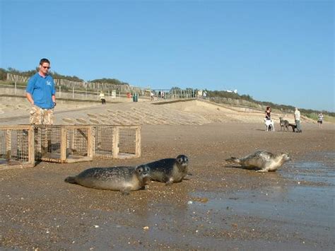 Natureland Seal Sanctuary (Skegness, England): UPDATED 2018 Top Tips ...