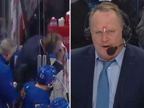 Sabres Announcer Rob Ray Bloodied After Puck To Face, Continues To Call ...