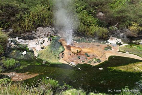 Geyser Tarawera, Waimangu Volcanic Valley, Rotorua - New Zealand