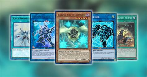 Market Watch: Lightsworn And Link Monsters | TCGplayer Infinite