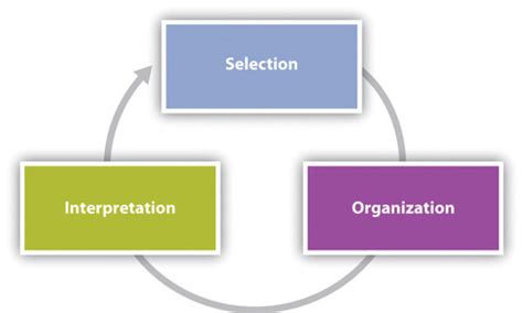 2.1 Perception Process – Communication in the Real World