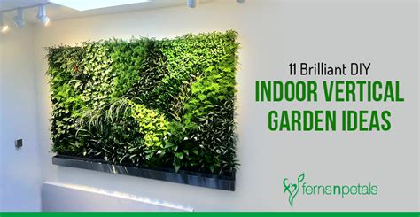 11 Brilliant DIY Indoor Vertical Garden Ideas - Ferns N Petals