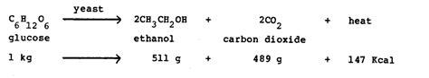 Alcoholic fermentation chemical equations - Alcoholic fermentation