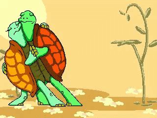 Turtle Dance GIF - Turtle Dance - Discover & Share GIFs