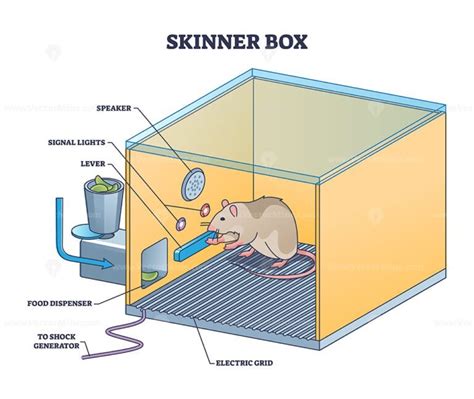 Skinner box or operant conditioning chamber experiment outline diagram ...