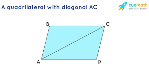 What is the sum total of the interior angles of any quadrilateral?