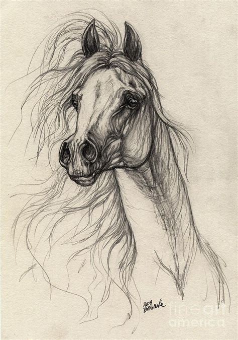 Arabian Horse Drawing 37 Drawing - just for you, Chloe! Horse Art ...