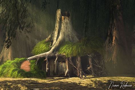 a small hut with moss growing on it's roof in the middle of a forest