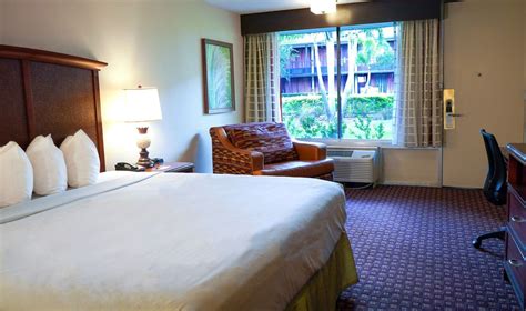 Hotel Rooms in Orlando | Rosen International Inn Near the Parks