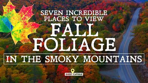 7 INCREDIBLE Places To View Fall Foliage in the Smoky Mountains - Fall ...