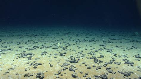 Deep Sea Mining Framework | Webframes.org